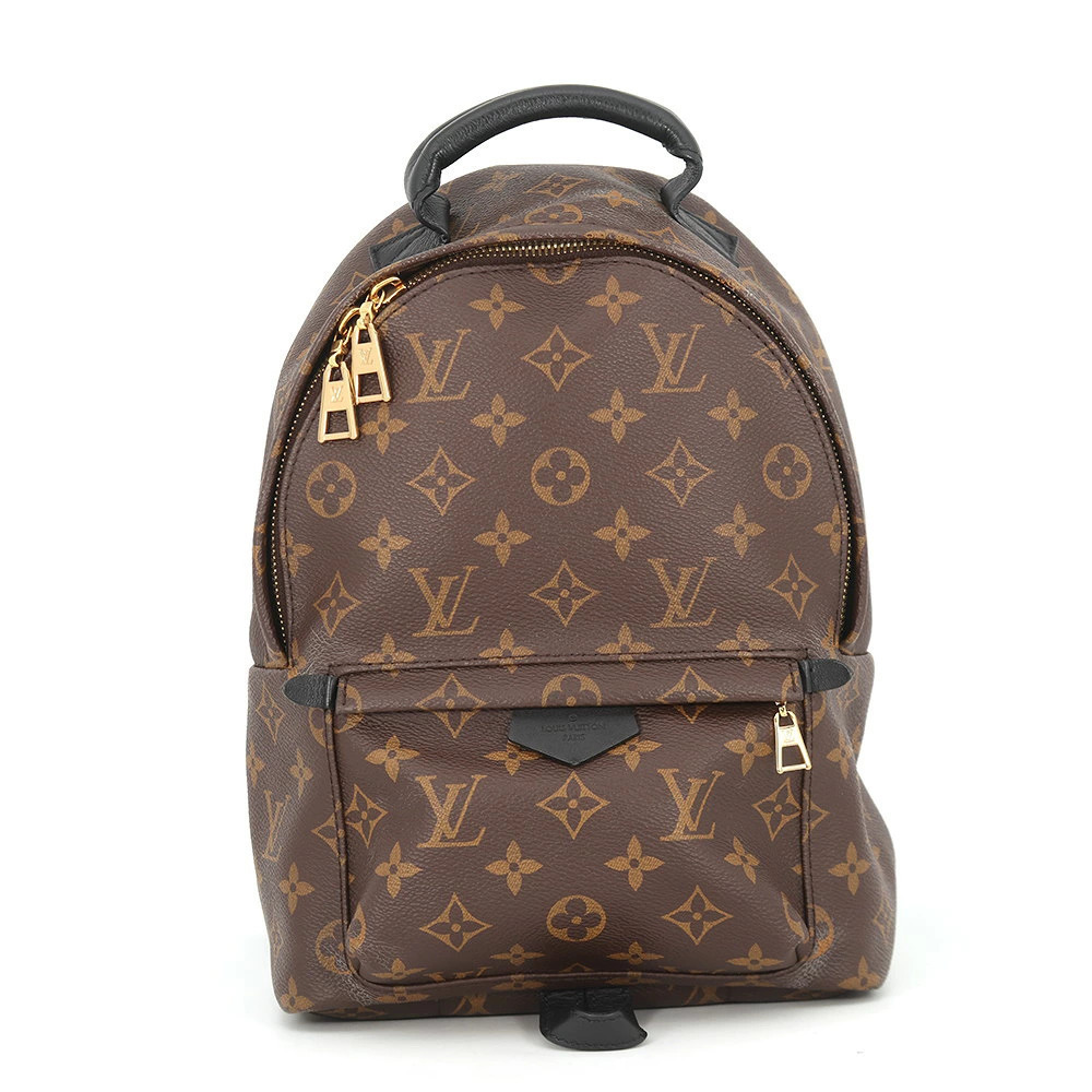 Louis Vuitton Monogram Palm Springs Backpack Black Bag